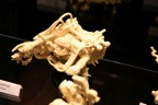 IMG_0170.JPG