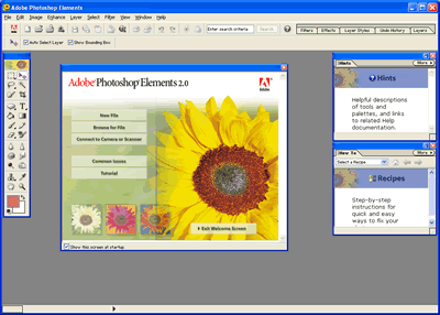 Photoshop Elements Screenshot