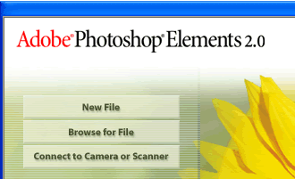 Photoshop Elements Screenshot