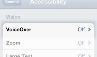 Within the Accessibility options, select Zoom.
