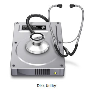 Open Applications -> Utilities -> Disk Utility