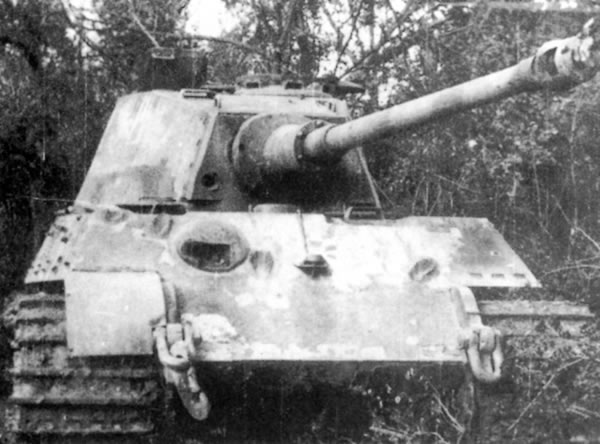 German Königstiger