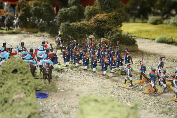 Napoleonic Battle