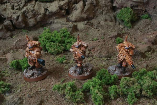 Inquisitorial Stormtroopers