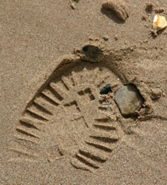 footprint