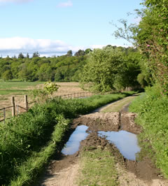 track