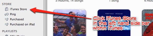 Click the iTunes Store link within iTunes.